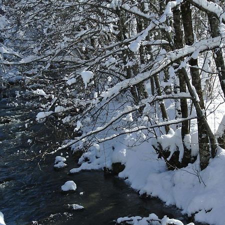 Hotel Et Spa Le Vermont Le Grand-Bornand Εξωτερικό φωτογραφία