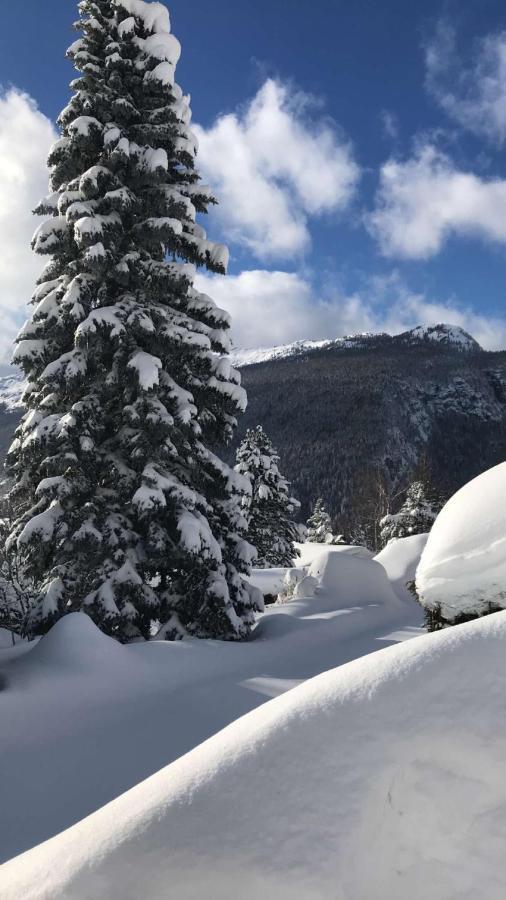 Hotel Et Spa Le Vermont Le Grand-Bornand Εξωτερικό φωτογραφία
